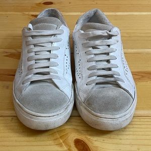 Steve Madden sneaker